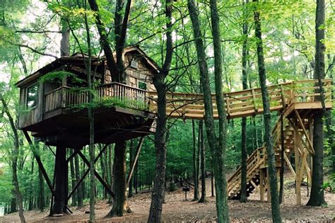 Unlocking the Magic: Discovering the Secrets of the Magid Treehouse 7